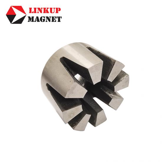 Alnico Magnet