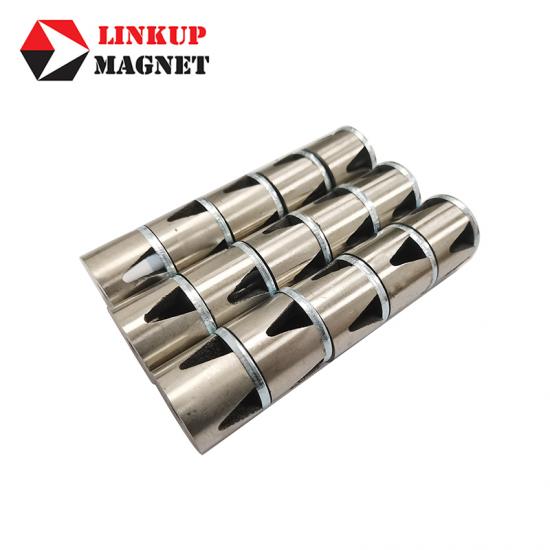 Alnico Magnet