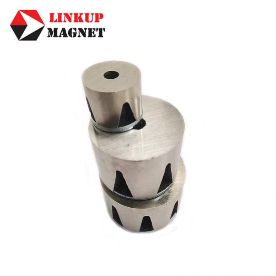 Alnico Magnet